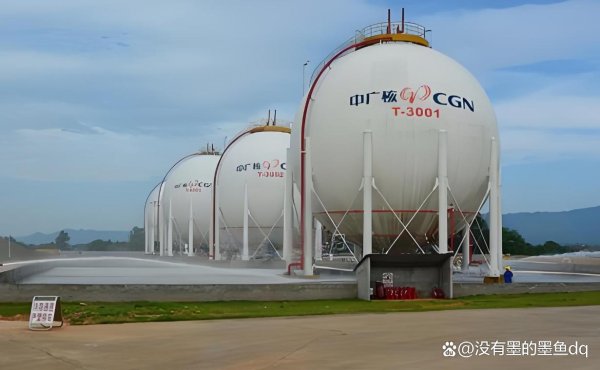 配配网配资 中广核实华燃气有限公司的成立与股权架构