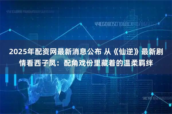 2025年配资网最新消息公布 从《仙逆》最新剧情看西子凤：配角戏份里藏着的温柔羁绊